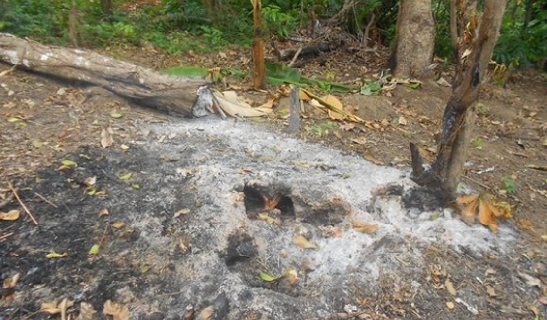 IMA monitora focos de queimadas em áreas de Proteção Ambiental em AL