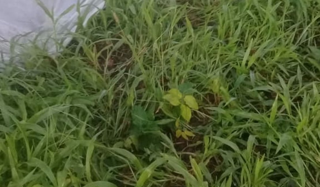 Identificada mulher encontrada morta na zona rural de Feira Grande