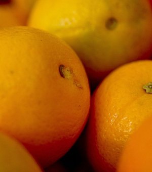 ApexBrasil vai qualificar produtores e empresas para exportar frutas