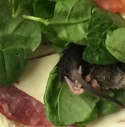 Cliente encontra rato morto em sanduíche