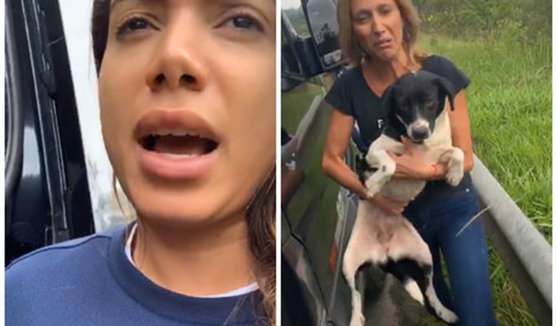 Anitta e Luísa Mell fazem resgate de cachorros abandonados