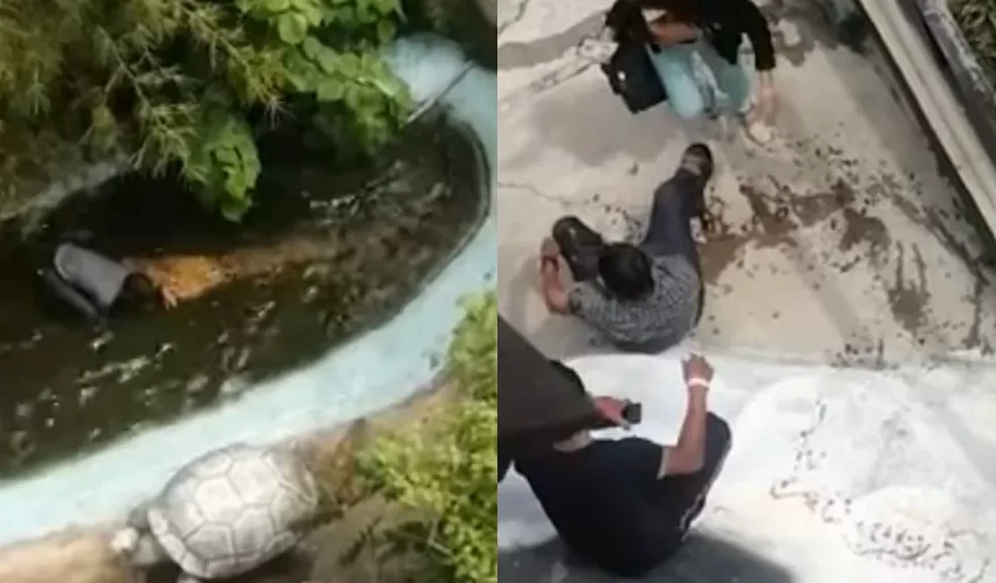 Turista tenta fazer selfie com crocodilo 'de plástico' e acaba atacado