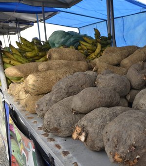 Feira da agricultura familiar acontece em Maceió neste final de semana