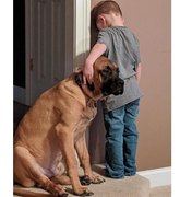 Fofura! Foto de cão fazendo companhia a menino de castigo viraliza na web