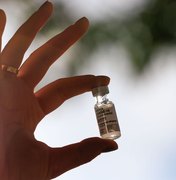 Fiocruz entrega 3,9 milhões de doses da vacina contra covid-19 ao PNI