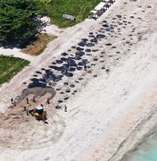 Vazamento de óleo em praias do Nordeste ainda é mistério para autoridades