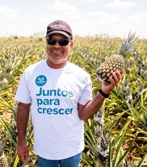 De abacaxis a pães: produtores transformam realidade através do empreendedorismo