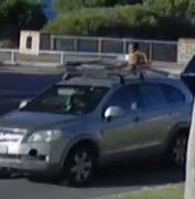 Criança de 4 anos é vista sobre teto de carro, enquanto mãe dirige