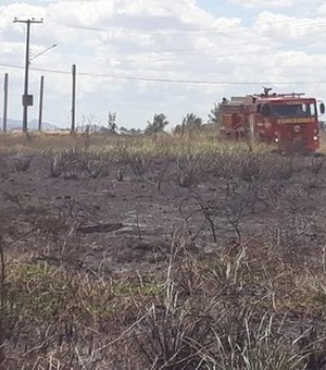Bombeiros são acionados para controlar fogo em vegetação na cidade de Arapiraca