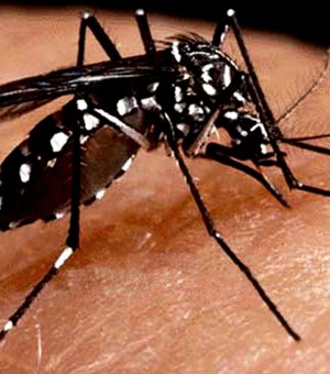 Dengue já é epidêmica em 12 Estados e no Distrito Federal