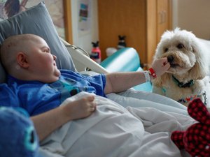 O cachorro que ajuda crianças com medo de agulha a se vacinarem