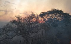 Incêndio aconteceu no final da tarde deste sábado (17)