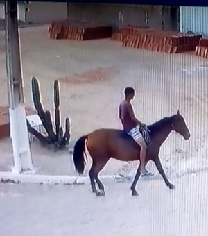 Policial é assaltado por ladrão montado à cavalo em Arapiraca