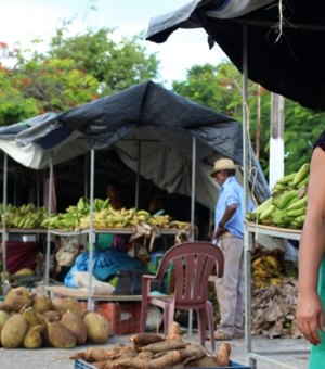Feira Camponesa começa hoje em Maceió e oferta produtos orgânicos à população