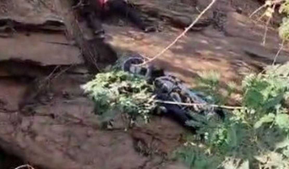 Jovem de 17 morre após acidente de moto na zona rural de Traipu