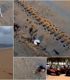 Após reação a morte de filhotes de tartarugas, turismo no Gunga coexiste com preservação