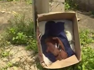 Moradores encontram recém-nascido em caixa de papelão em Goiânia