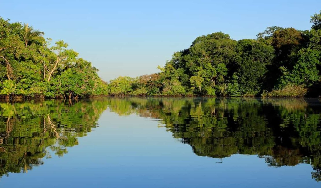 Menina de quatro anos passa cinco dias perdida na floresta