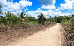 Prefeitura de Maragogi intensifica trabalho de revitalização de estradas na zona rural