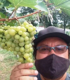 Alunos do Ifal cultivam uva em pleno sertão alagoano