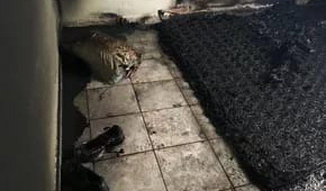 Mulher ateia fogo dentro de casa com duas crianças, em Branquinha