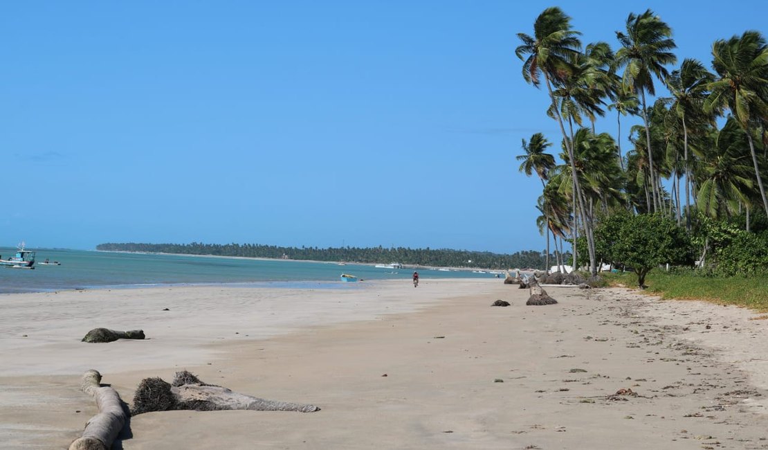 Praia de Peroba encanta turistas e moradores de Maragogi