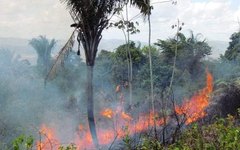 Fogo atinge vegetação na Serra da Barriga