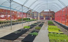 Prefeito Luciano Barbosa entrega Escola de Campo de Arapiraca com nova estrutura