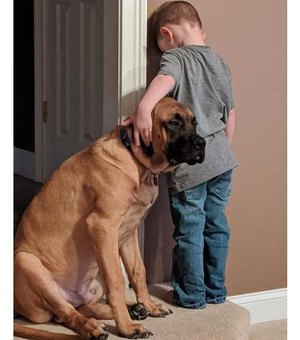 Fofura! Foto de cão fazendo companhia a menino de castigo viraliza na web