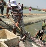 Programa Água Doce realiza segunda despesca em Cacimbinhas
