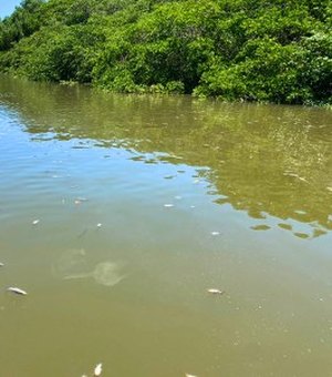 Peixes mortos: laudo da Ufal aponta agrotóxicos no rio Santo Antônio