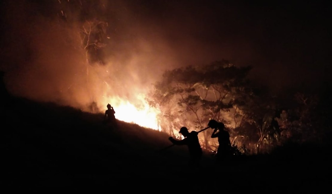 Incêndio atinge mata fechada e pasto de fazenda em União dos Palmares