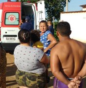 Abelhas atacam quatro pessoas da mesma família em Arapiraca