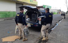 Comerciantes da Rua do Sol, em Arapiraca, são alvos  de operação no Agreste 