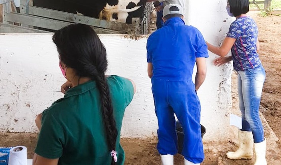 Curso de inseminação artificial em bovinos completa 26 anos