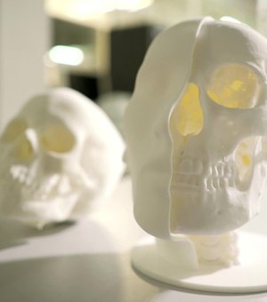 Pesquisadores recriam parte do acervo do Museu Nacional, incluindo o crânio de Luzia