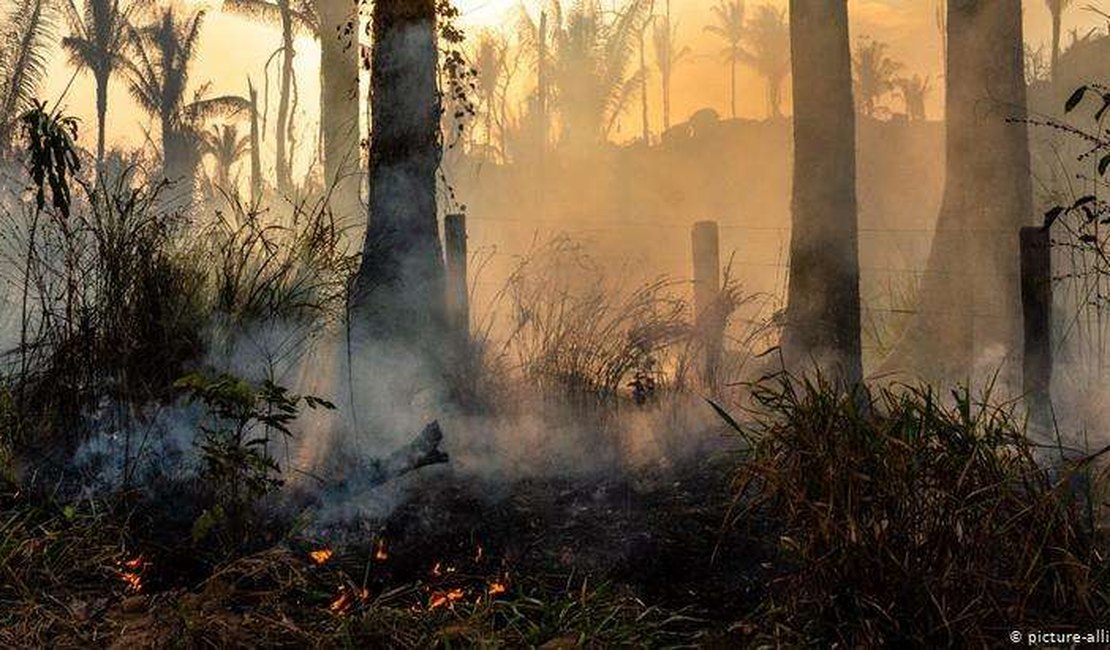 Queimadas aumentam e 2020 pode ser destrutivo para Amazônia