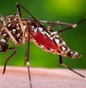 Ministério da Saúde alerta para casos de chikungunya em AL