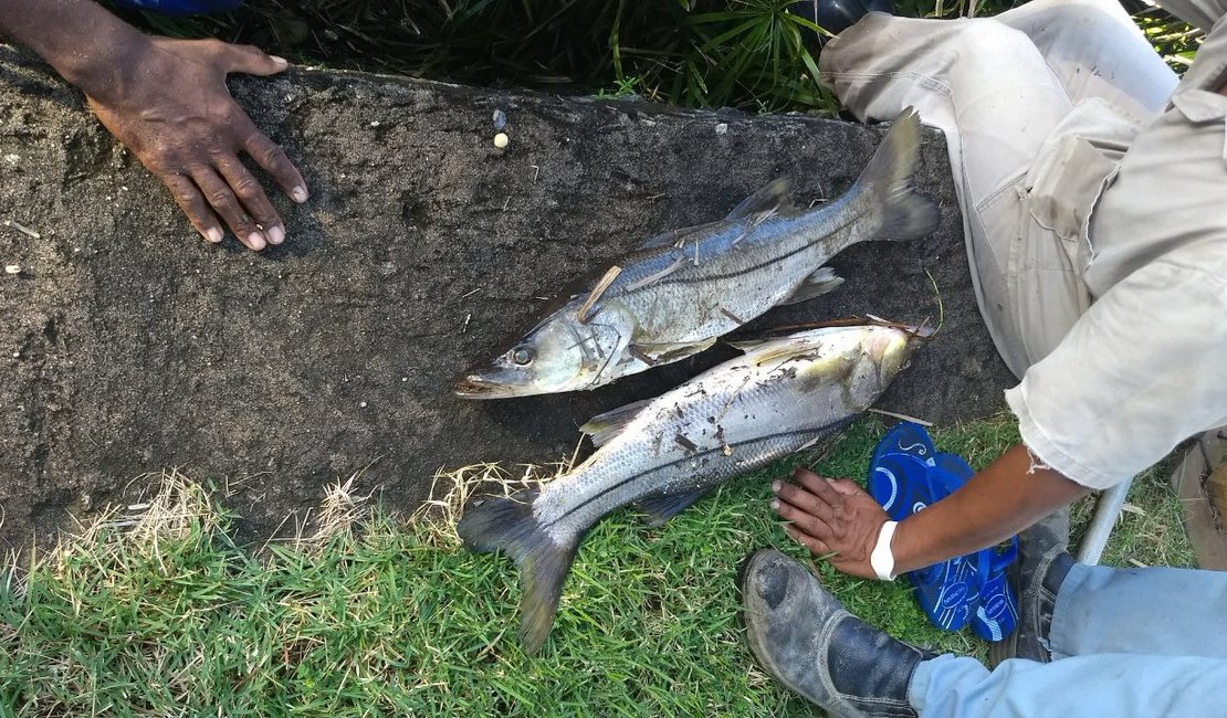 Casal é autuada por morte de peixes na Lagoa da Anta