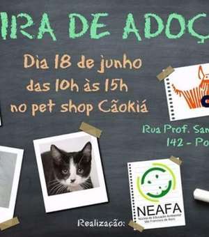 Neafa promove feira de adoção de cães e gatos no fim de semana