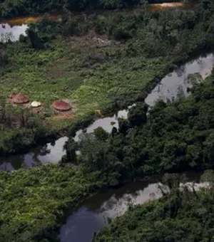 FAB aumenta prazo para que garimpeiros deixem terra Yanomami em voos privados