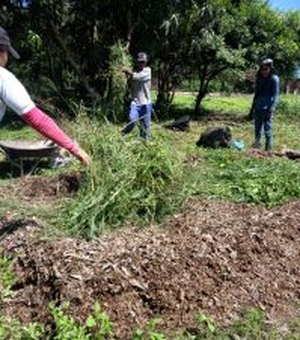 Prefeitura de Arapiraca transforma sobras de podas das árvores em adubo para jardinagem