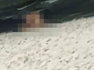 Polícia tenta identificar casal flagrado fazendo sexo na orla de Ponta Verde