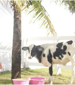 Nicole Bahls batiza vaca com o nome de Camila Queiroz
