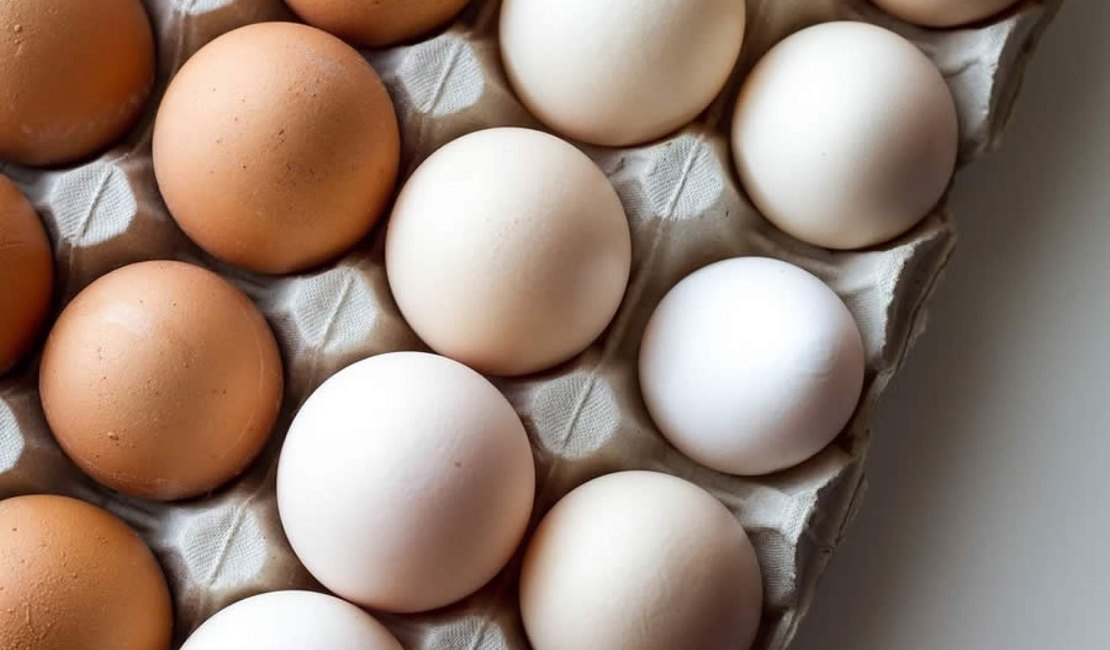 Com alta do preço da carne, consumo de ovos aumenta em Maceió