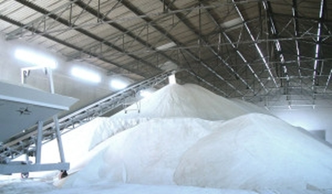 Açúcar recupera preço e anima fornecedor de cana