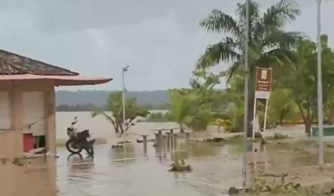 Após enchentes, Alagoas registra cinco mortes por leptospirose