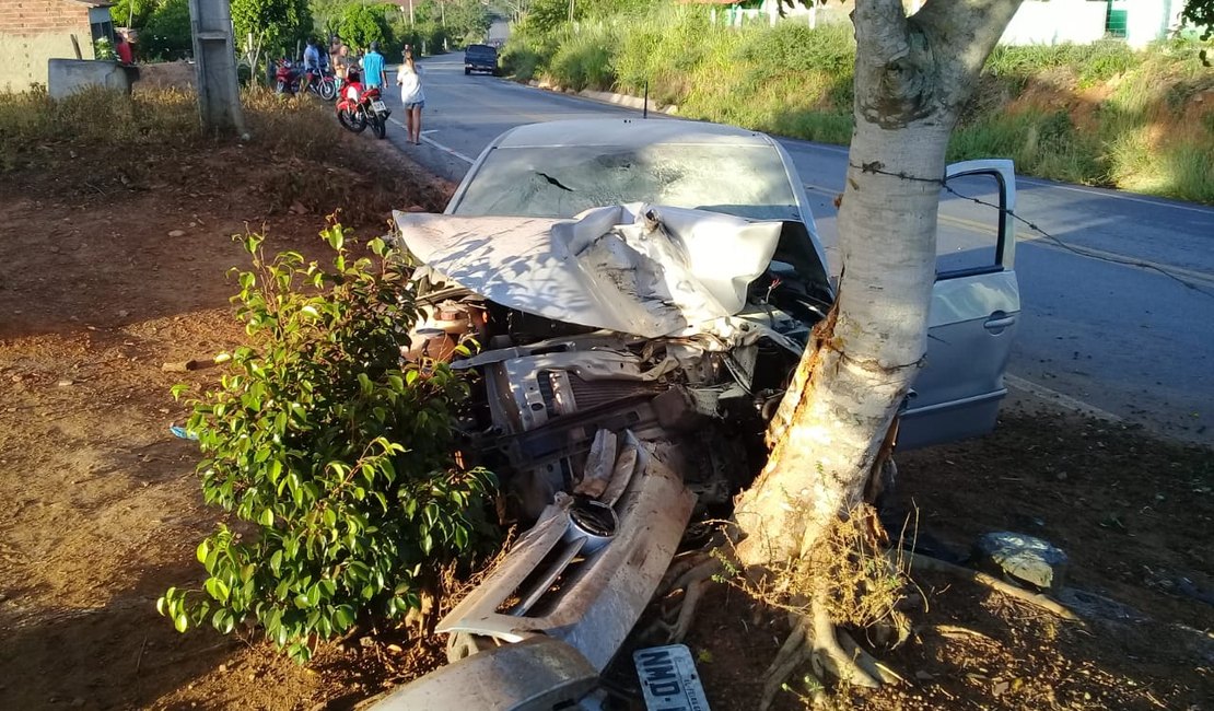 [Vídeo] Motorista sobra em curva e colide contra árvore na AL 485 em Feira Grande  