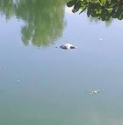 Homem é encontrado boiando na Lagoa Mundaú