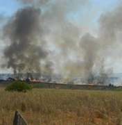 Calor provoca queimadas em terrenos e lixão de Arapiraca
